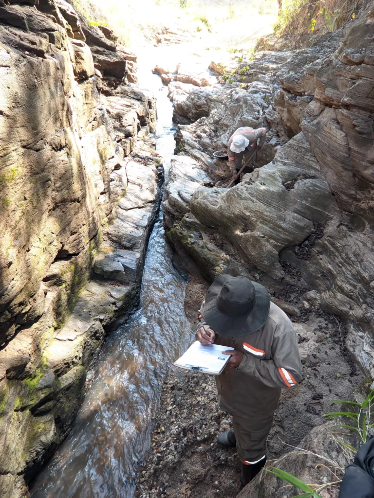 WhatsApp_Image_2025-05-22_at_14.29.00